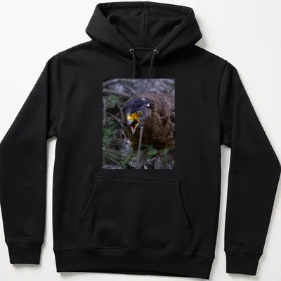 Realistic photo of an angry bird with yellow beak and dark feathers — printed on a unisex hoodie