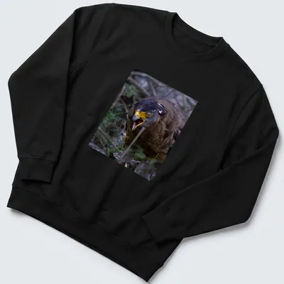 Realistic photo of an angry bird with yellow beak and dark feathers — printed on a unisex sweatshirt