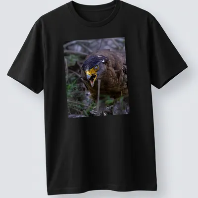Realistic photo of an angry bird with yellow beak and dark feathers