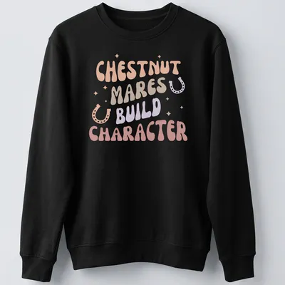 Playful typography design featuring chestnut mares with colorful lettering — printed on a unisex sweatshirt