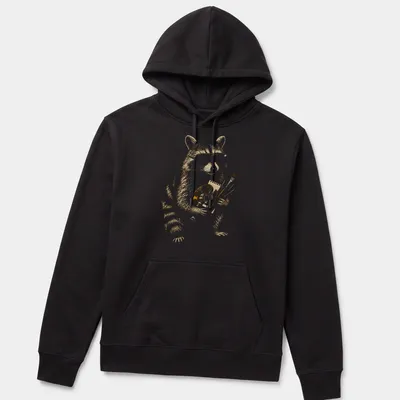 Cartoon raccoon holding a paint palette and brushes in warm colors — printed on a unisex hoodie