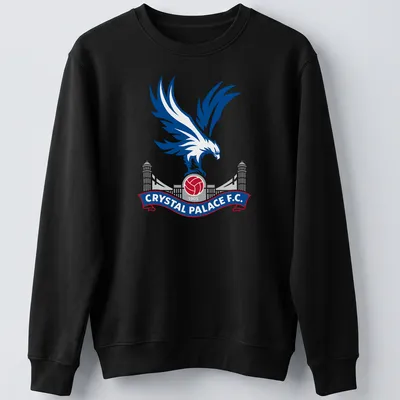 Eagle emblem and text for Crystal Palace F.C. in blue, red, white, and gray — printed on a unisex sweatshirt