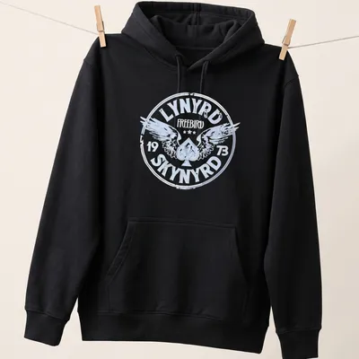 Vintage distressed Lynyrd Skynyrd logo t-shirt with wings and 1973 text — printed on a unisex hoodie