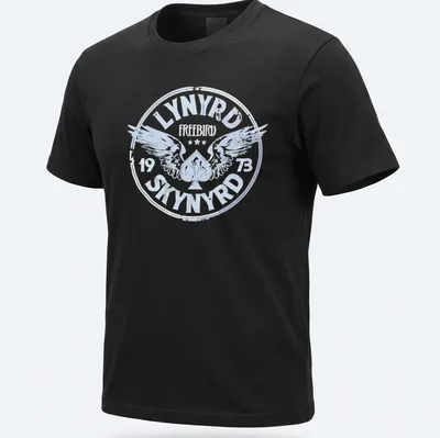 Vintage distressed Lynyrd Skynyrd logo t-shirt with wings and 1973 text