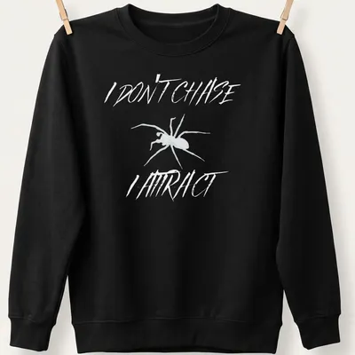 Minimalist spider design with bold text reading 'I Don’t Chase I Attract' in black and white. — printed on a unisex sweatshirt