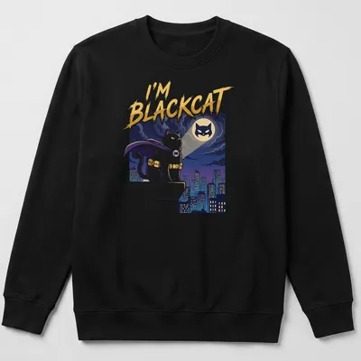 Cartoon print of a superhero cat on a rooftop with bold colors — printed on a unisex sweatshirt