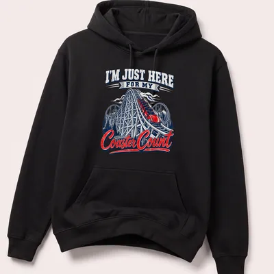 Vintage roller coaster tee with playful print about coaster counting — printed on a unisex hoodie