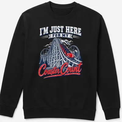 Vintage roller coaster tee with playful print about coaster counting — printed on a unisex sweatshirt