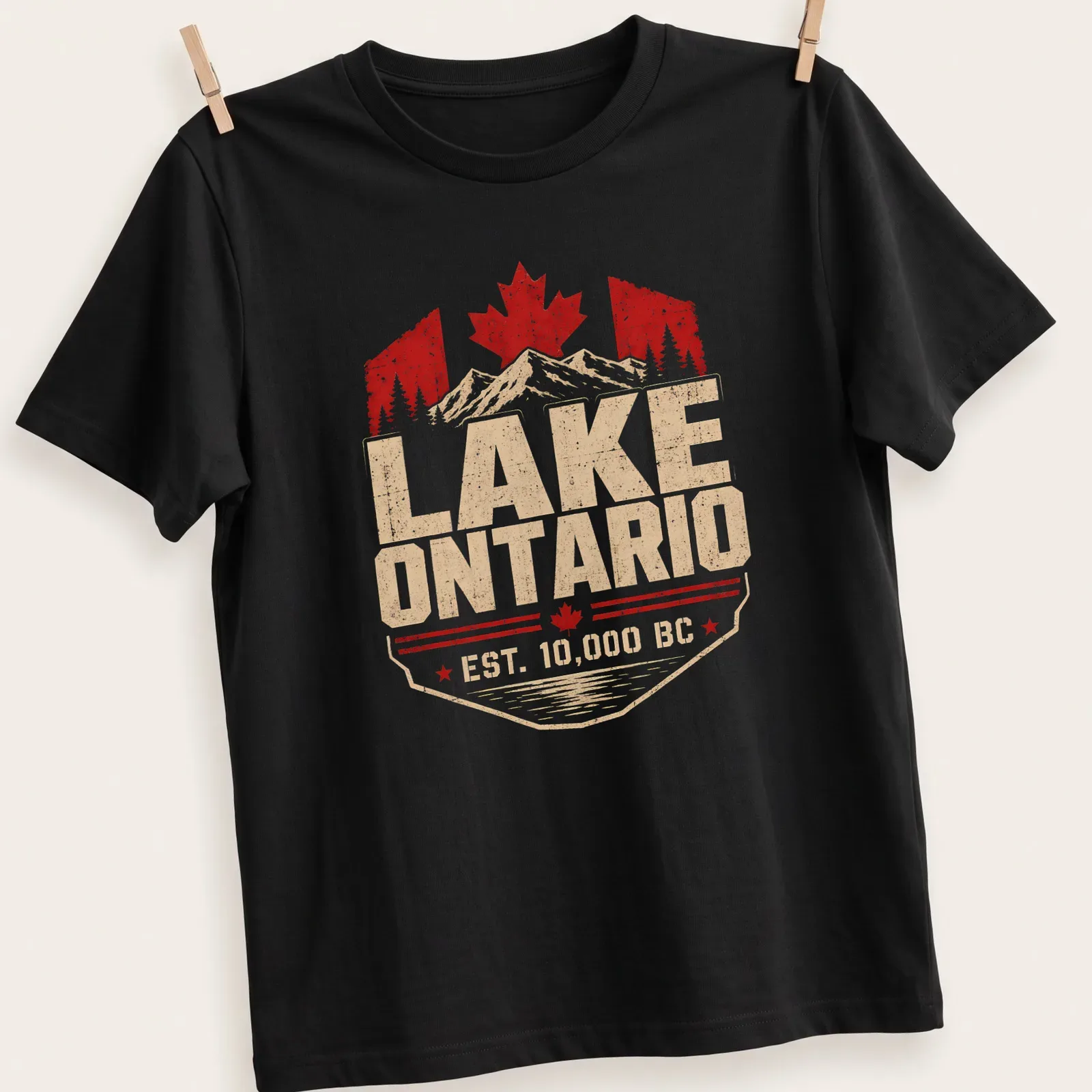 Retro vintage print of Lake Ontario with mountains and Canadian elements — printed on a unisex t-shirt