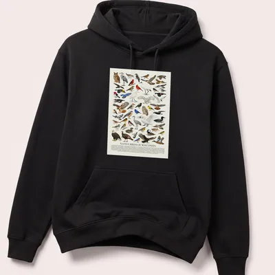 Retro identification chart of native Wisconsin birds with colorful illustrations — printed on a unisex hoodie