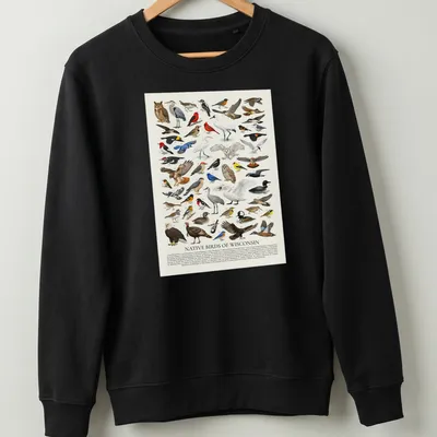 Retro identification chart of native Wisconsin birds with colorful illustrations — printed on a unisex sweatshirt