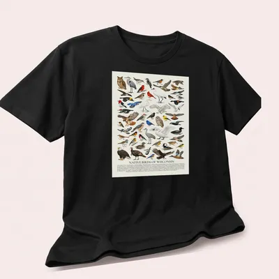 Retro identification chart of native Wisconsin birds with colorful illustrations — printed on a unisex t-shirt (angled view)