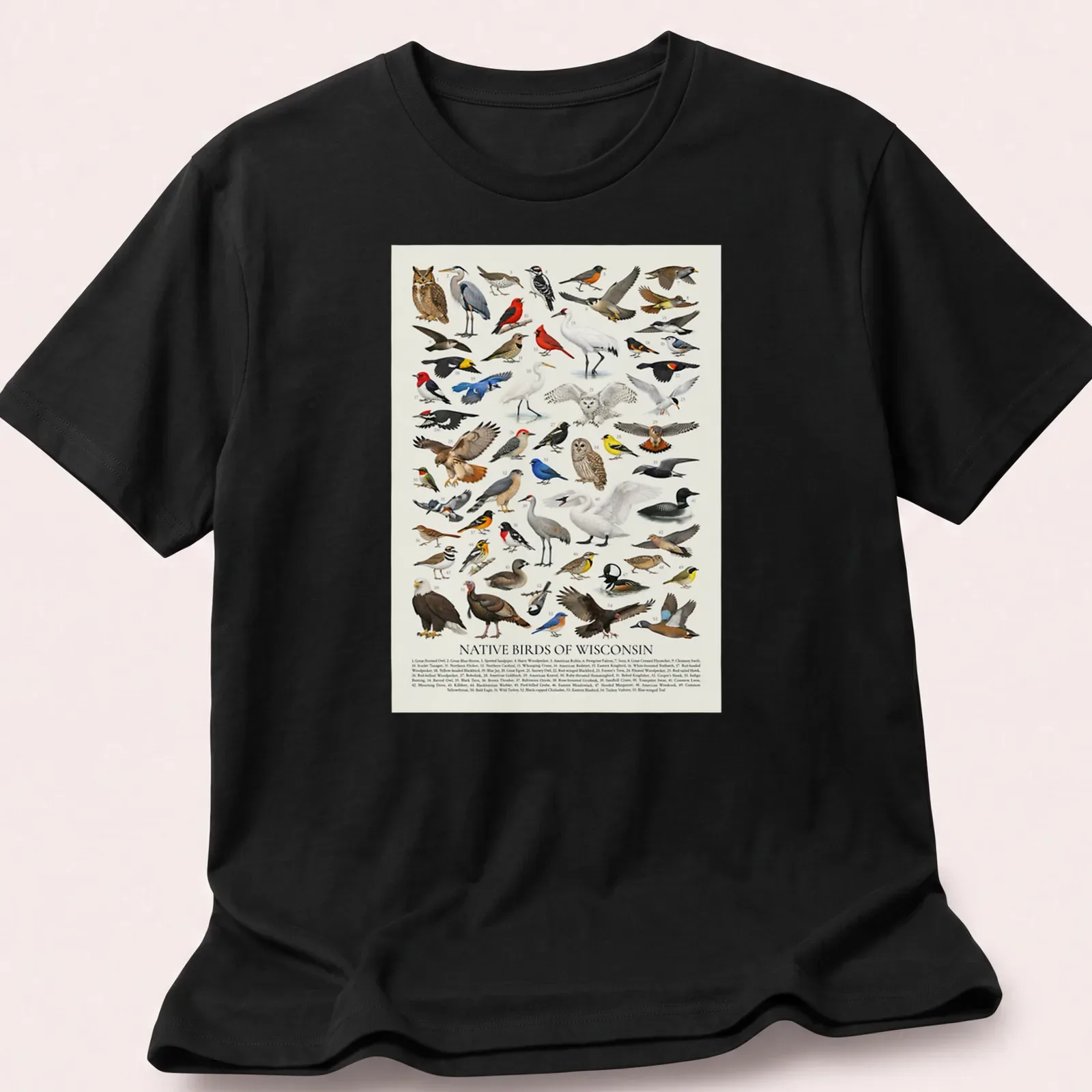 Retro identification chart of native Wisconsin birds with colorful illustrations — printed on a unisex t-shirt