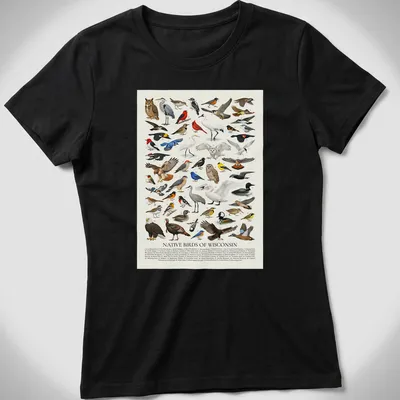 Retro identification chart of native Wisconsin birds with colorful illustrations — printed on a women's shirt