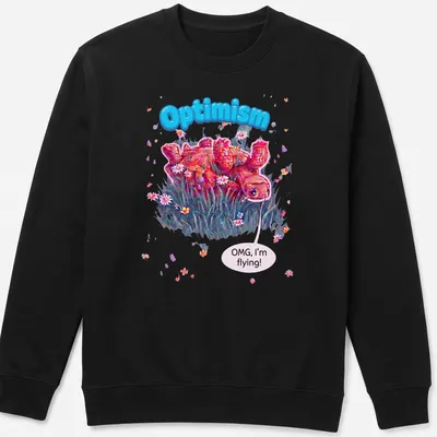 Colorful cartoon turtle with text 'Optimism OMG, I'm flying!' in pink, blue, and green — printed on a unisex sweatshirt