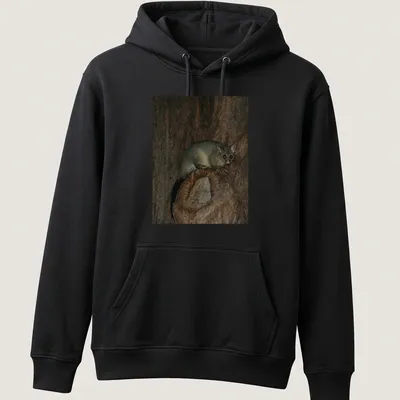 Photographic print of a possum in Hyde Park, showcasing realistic colors and natural beauty. — printed on a unisex hoodie