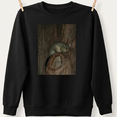 Photographic print of a possum in Hyde Park, showcasing realistic colors and natural beauty. — printed on a unisex sweatshirt