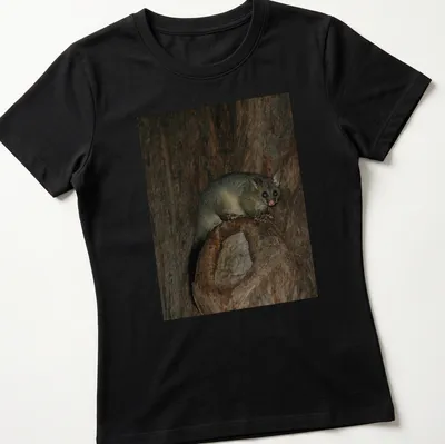 Photographic print of a possum in Hyde Park, showcasing realistic colors and natural beauty. — printed on a women's shirt