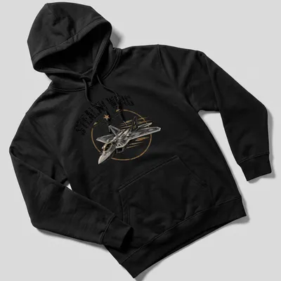 Vintage distressed F-22 fighter jet graphic with 'Stealth Wing' text — printed on a unisex hoodie