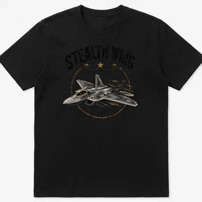 Vintage distressed F-22 fighter jet graphic with 'Stealth Wing' text