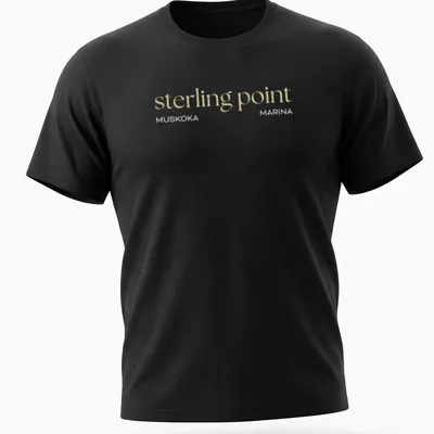 Minimalist design with the text 'sterling point' on a beige background