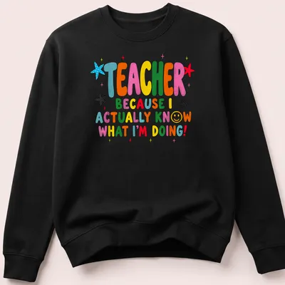 Colorful teacher-themed t-shirt with playful text and stars — printed on a unisex sweatshirt