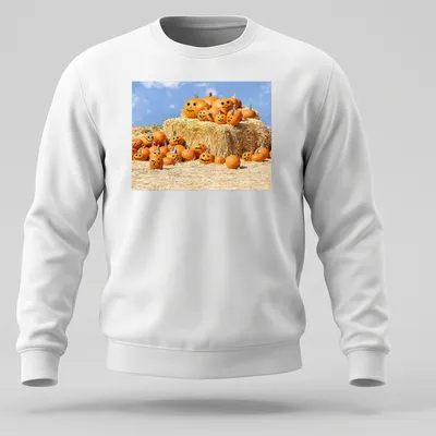 Cartoonish design of smiling pumpkins with text 'We're Ready, Come And Get Us' — printed on a unisex sweatshirt