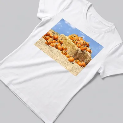 Cartoonish design of smiling pumpkins with text 'We're Ready, Come And Get Us' — printed on a women's shirt