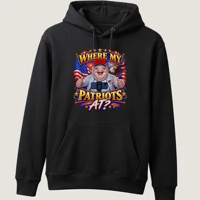 Colorful cartoon sloth meme shirt with the phrase WHERE MY PATRIOTS AT? — printed on a unisex hoodie
