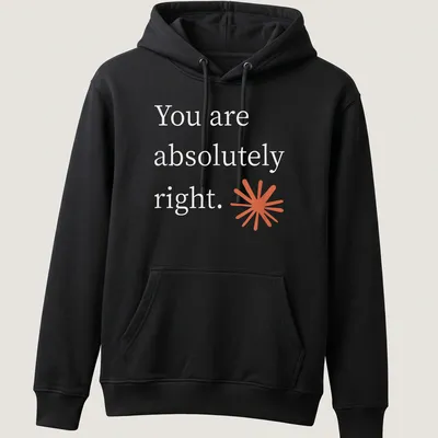 T-Shirt with a modern starburst graphic and text: You are absolutely right. — printed on a unisex hoodie