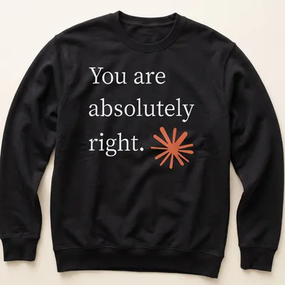T-Shirt with a modern starburst graphic and text: You are absolutely right. — printed on a unisex sweatshirt